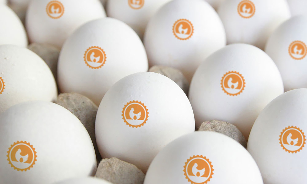 耀田牧場 Yaotian Ranch | 品牌識別設計 耀田牧場 Yaotian Ranch | 品牌識別設計